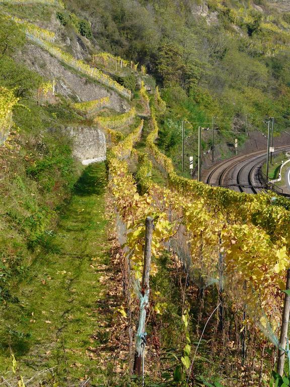 Gasthaus Weingut Stahl Oberwesel Exterior photo